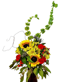 Category Image