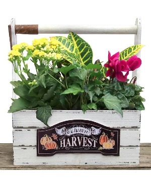 Autumn Harvest Indoor Planter Box