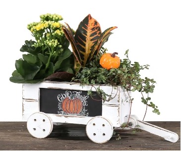 Autumn Harvest Indoor Planter Box in Delta, BC | FLOWERS BEAUTIFUL