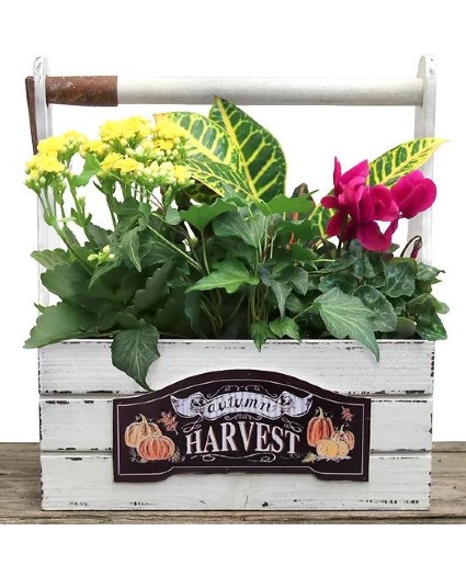 Autumn Harvest Indoor Planter Box