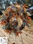 Autumn Horizon Grapevine Wreath 