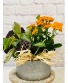 Purchase this funeral home arrangement