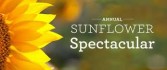 AUTUMN IS HERE!  SO ARE SUNFLOWER SPECIALS! 