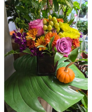 Autumn Jewel 