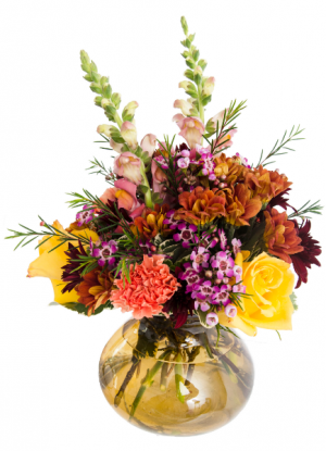 Autumn Joy 