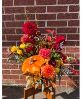 Autumn Joy Pumpkin  