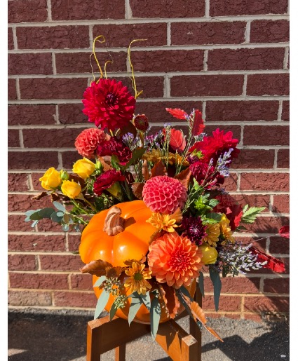 Autumn Joy Pumpkin  
