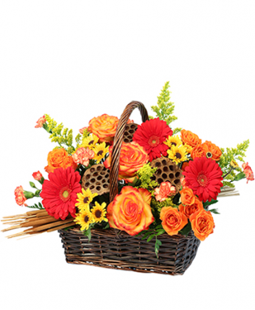 Autumn lotus basket fall colors