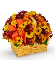 Autumn Means Chrysanthemums Lovely Basket of Autumn Chrysanthemums