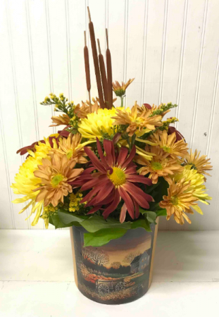Autumn Mums
