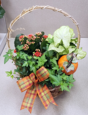 Thanksgiving Hostess Gift *Fall Planter*