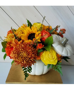 Autumn Pumpkin Fresh Flowers