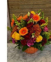“Autumn Pumpkin Radiance Thanksgiving 