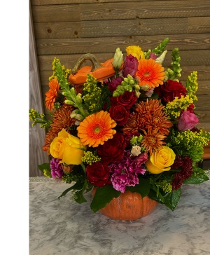 “Autumn Pumpkin Radiance Thanksgiving 