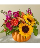 AUTUMN PUMPKIN SURPRISE  