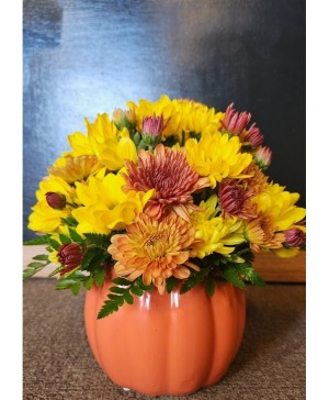 Autumn Pumpkins 