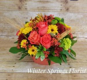 Autumn Radiance Arrangement in Winter Springs, FL | WINTER SPRINGS FLORIST AND GIFTS Autumn Radiance Arrangement in Winter Springs, FL | WINTER SPRINGS FLORIST AND GIFTS