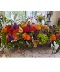 Autumn Radiance Centerpiece Centerpiece