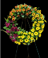 Autumn Remembrance  sympathy 