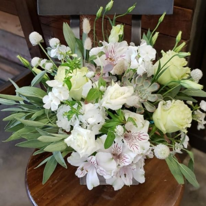 Autumn Sage Flowers for All Occasions