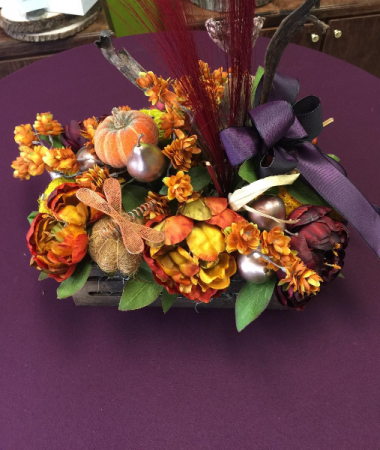 Autumn Sensation
