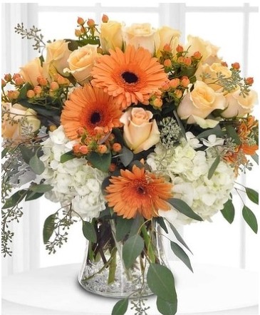 Autumn Smiles in Arlington, TX | Wilsons in Bloom Autumn Smiles in Arlington, TX | Wilsons in Bloom