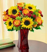 Sunflower Magic!!!  All the Vibrant Colors for the Love of Your Life!!!