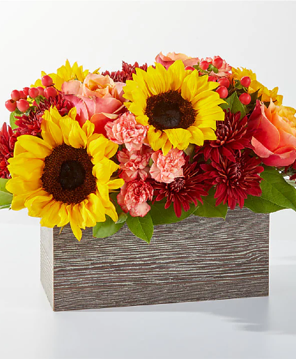 Autumn Spice  Rustic Box 