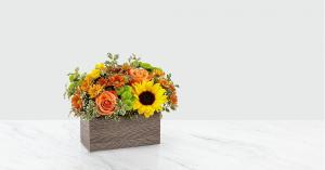 Autumn Splendor Arrangement