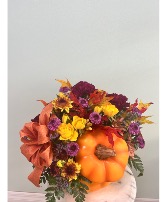 Autumn Splendor Pumpkin BY Enchanted Florist of Cape Coral 