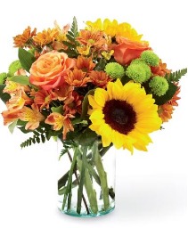    Autumn Splendour Arrangement 