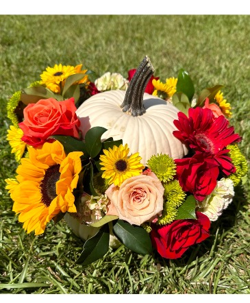 Autumn Squash Fall in Bluffton, SC | Ary Blooms