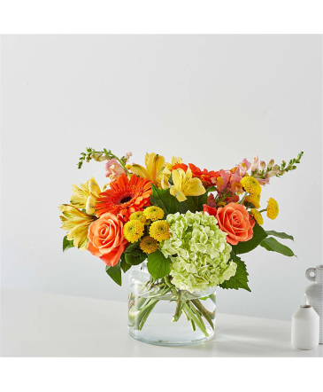 Autumn Sunshine Bouquet in Fort Worth, TX | DARLA'S FLORIST Autumn Sunshine Bouquet in Fort Worth, TX | DARLA'S FLORIST