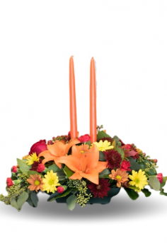 Category Image