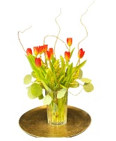 Autumn Whisper Tulips