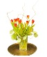 Autumn Whisper Tulips