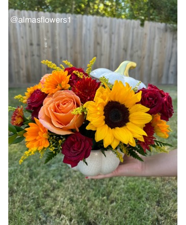 Autumn White Pumpkin  in Highlands, TX | Alma's Flowers