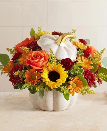Autumn White Pumpkin  in Bakersfield, CA | Valley Blooms Florist
