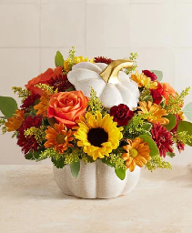 Autumn White Pumpkin 