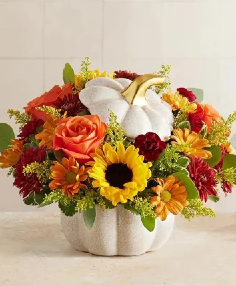 AUTUMN WHITE PUMPKIN 