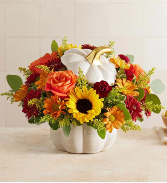 Autumn White Pumpkin 