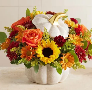 AUTUMN WHITE PUMPKIN™ 