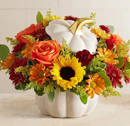 AUTUMN WHITE PUMPKIN™ 