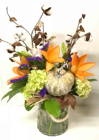 Autumn Wonder