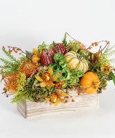 Autumnal Ambience  