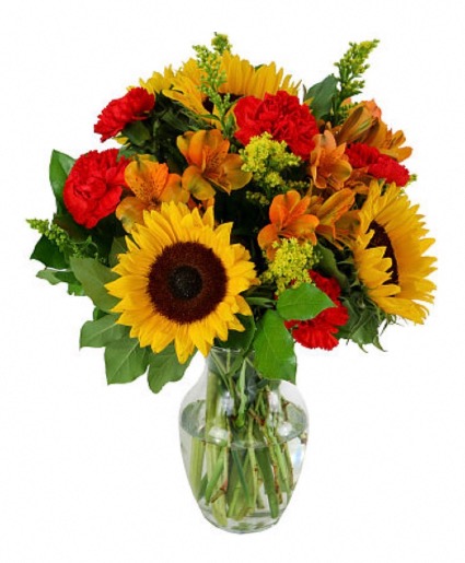 Autumn’s Sunset sunflowers maybe subbedf Vase