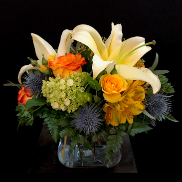 Awake Cube  in Chesterfield, MO | ZENGEL FLOWERS AND GIFTS
