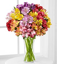 Awesome Alstroemeria