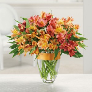 Awesome Alstroemeria 