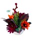 Awesome Autumn Dish Garden Planter